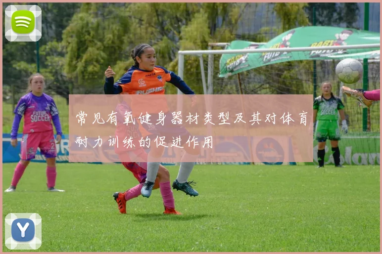 常见有氧健身器材类型及其对体育耐力训练的促进作用