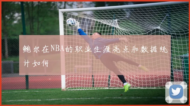 鲍尔在NBA的职业生涯亮点和数据统计如何