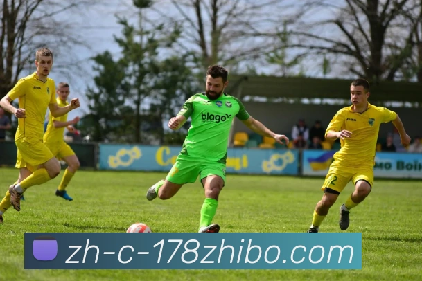 178体育直播平台生态图